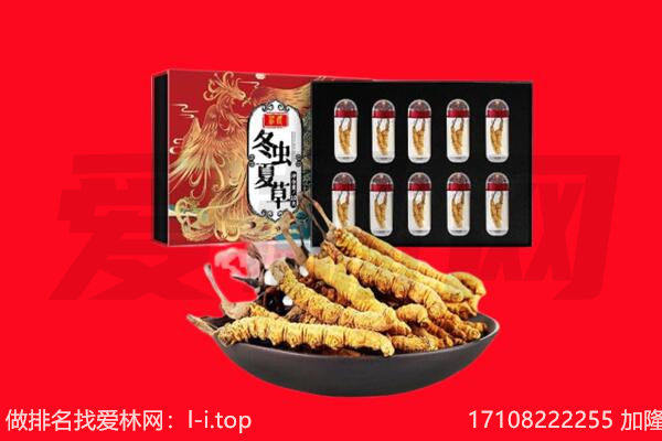 武汉江夏区回收虫草.jpg